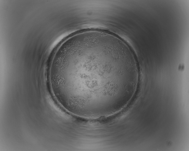 X0000113040983200908271501