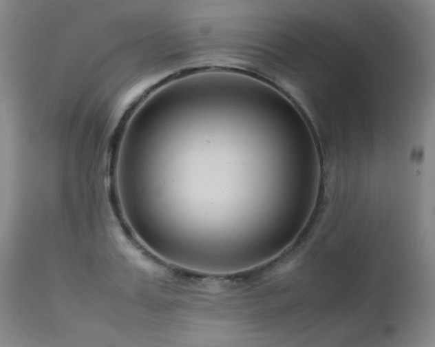X0000113040987200908271501