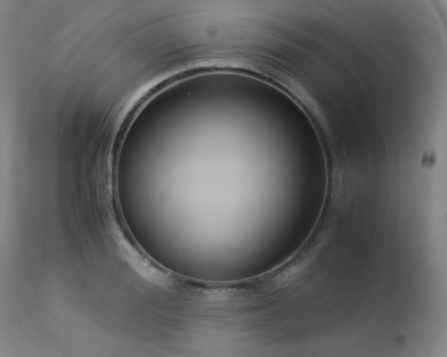 X0000113040988200908271501