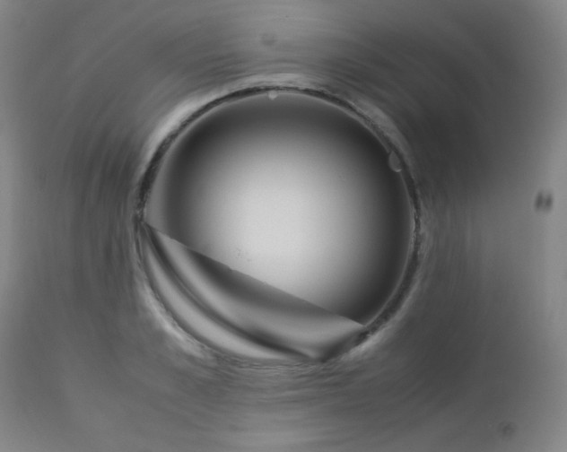 X0000113040989200908271501
