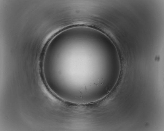 X0000113040991200908271501