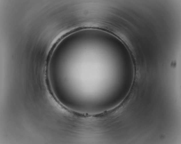 X0000113040992200908271501