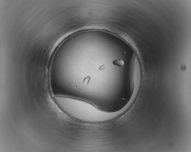 X0000113040996200908271501