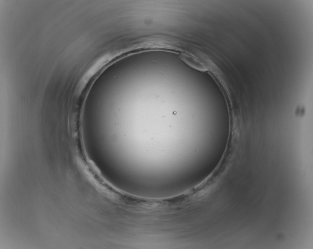 X0000113040997200908271501