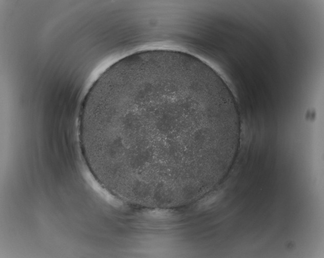 X0000113040998200908271501