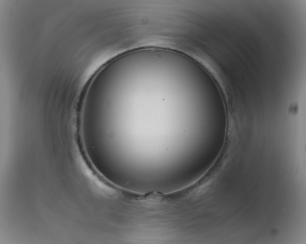 X0000113040999200908271501