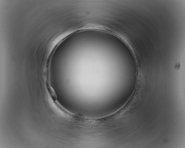X0000113041003200908271501