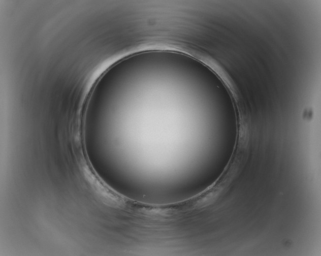 X0000113041004200908271501