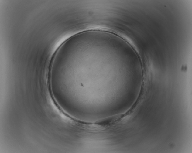 X0000113041007200908271501