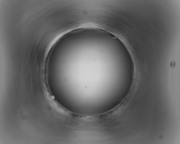 X0000113041008200908271501
