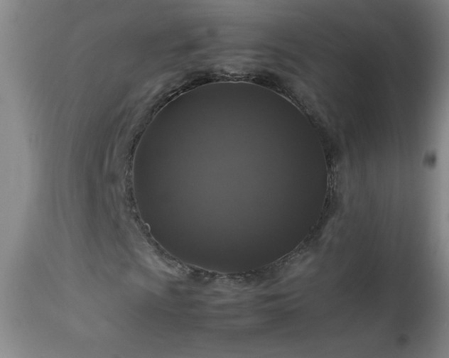 X0000113041009200908271500