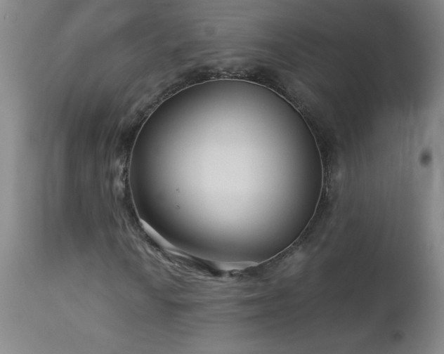 X0000113041010200908271500