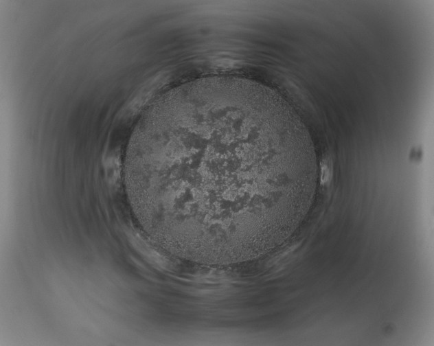 X0000113041011200908271500