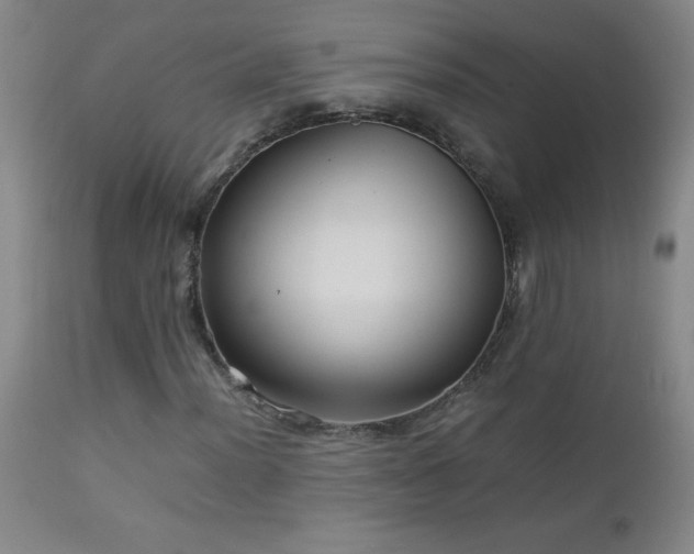 X0000113041012200908271500