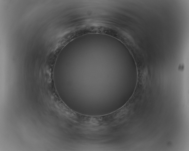 X0000113041013200908271500