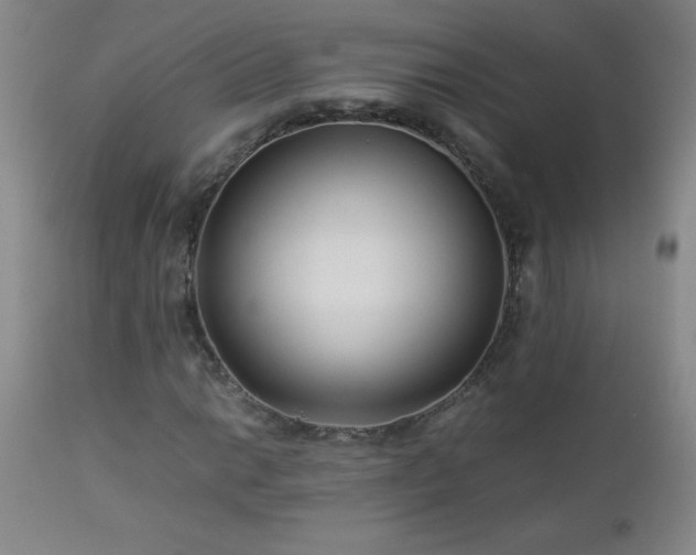 X0000113041014200908271500