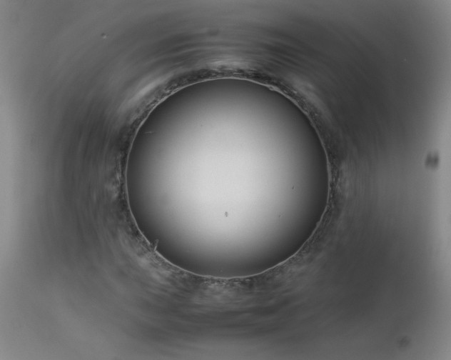 X0000113041015200908271500