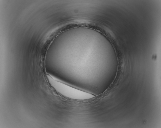 X0000113041016200908271500