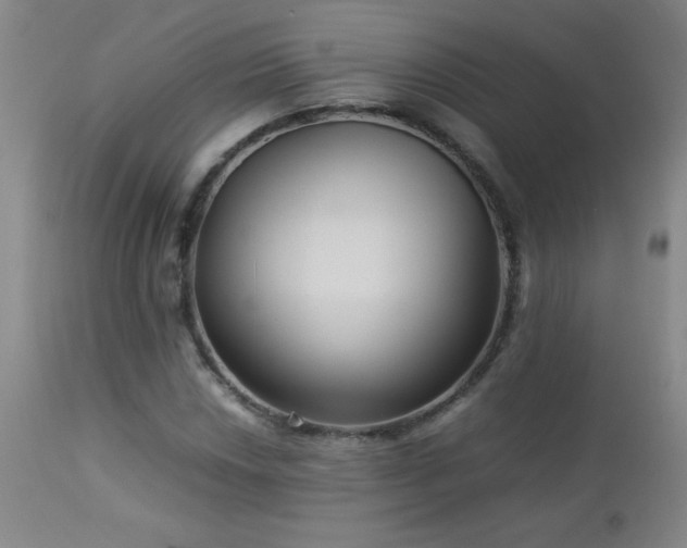 X0000113041018200908271500