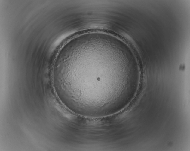 X0000113041019200908271500