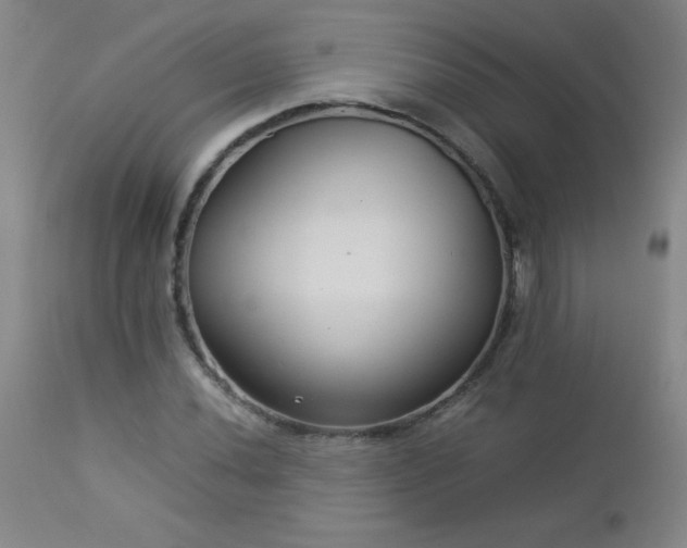 X0000113041020200908271500