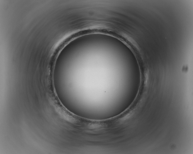 X0000113041021200908271500