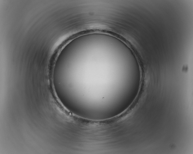 X0000113041022200908271500