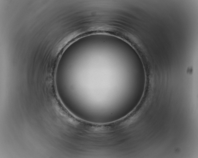 X0000113041025200908271500