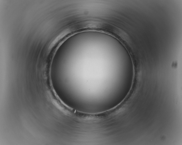 X0000113041026200908271500