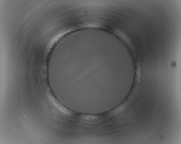 X0000113041027200908271500