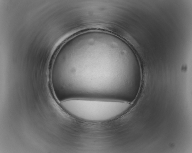 X0000113041028200908271500