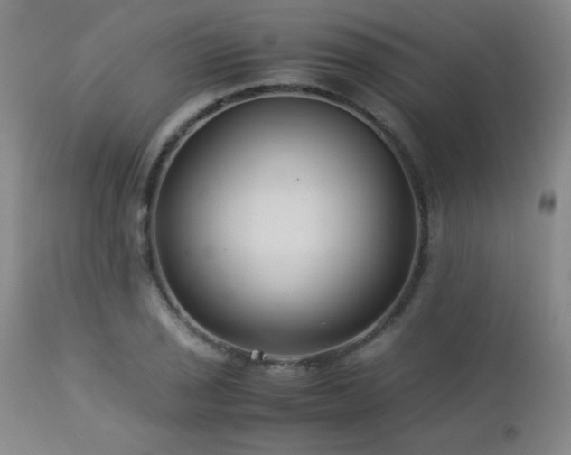 X0000113041029200908271500
