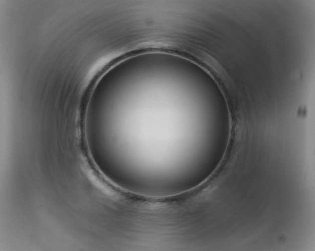 X0000113041030200908271500
