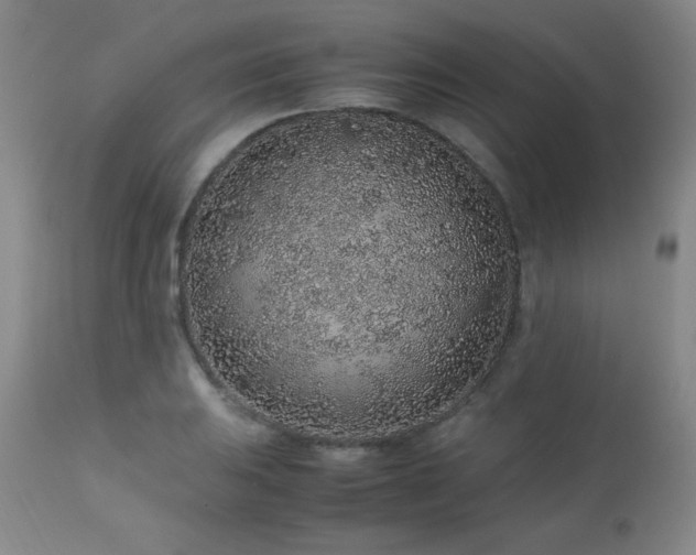 X0000113041031200908271500