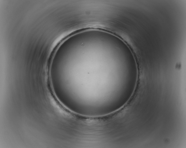 X0000113041032200908271500