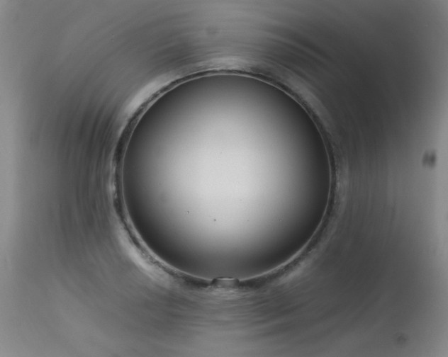 X0000113041034200908271500