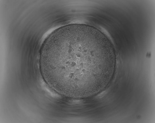 X0000113041035200908271500