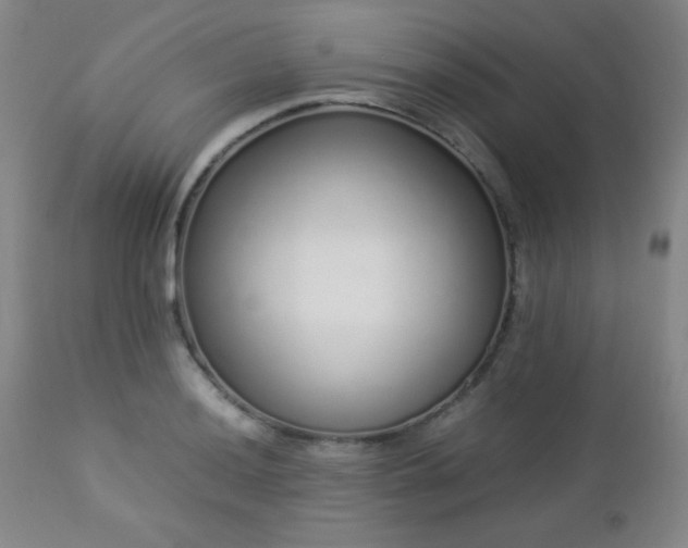 X0000113041036200908271500