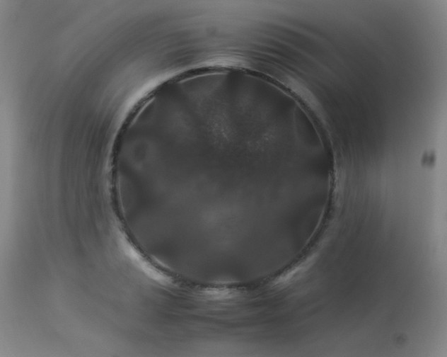 X0000113041037200908271500