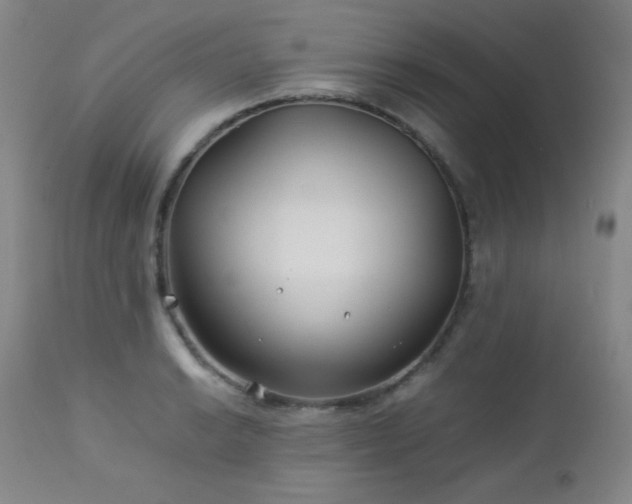 X0000113041038200908271500