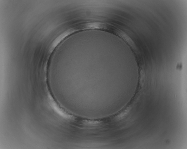 X0000113041039200908271500