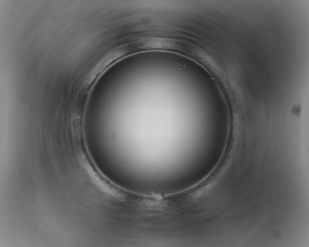 X0000113041041200908271500