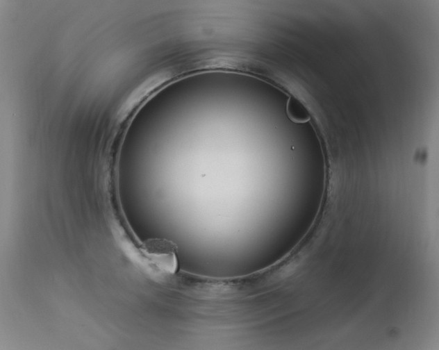 X0000113041042200908271501
