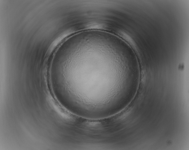 X0000113041043200908271501