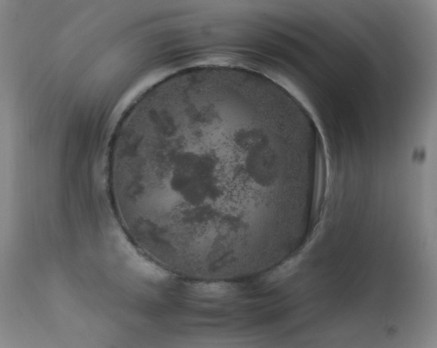 X0000113041045200908271501