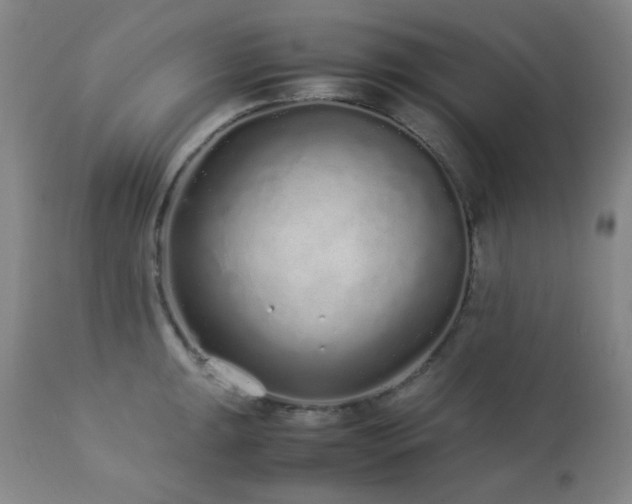X0000113041047200908271501