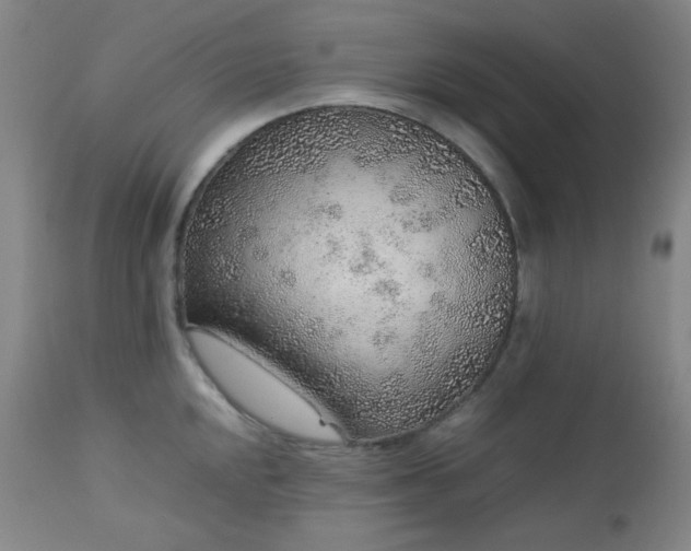 X0000113041048200908271501