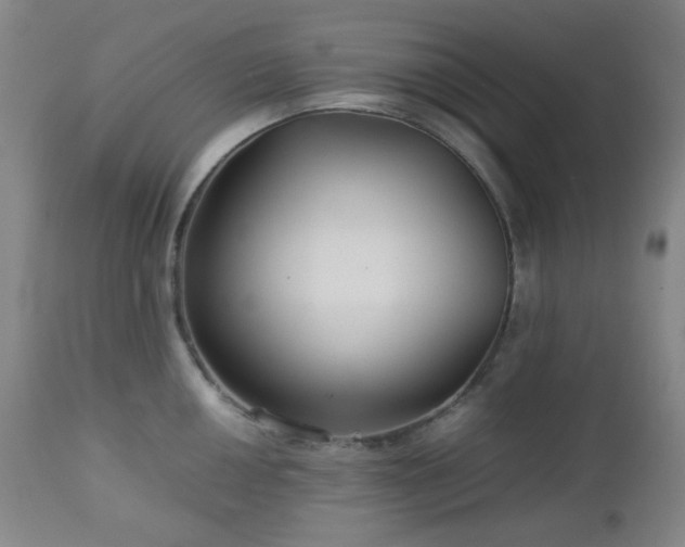 X0000113041050200908271501