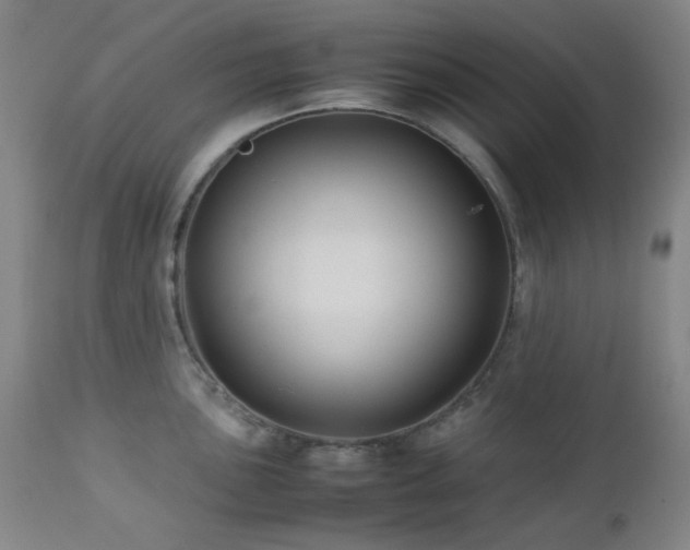 X0000113041051200908271501