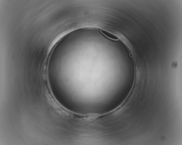 X0000113041052200908271501